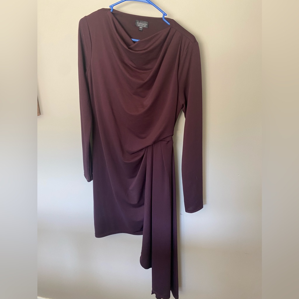 Top Shop Dress